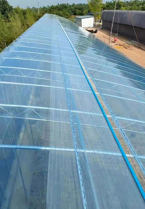 light transmission greenhouse film makes better use of light